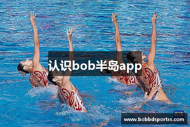 认识bob半岛app